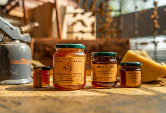 Vasetto di miele di melata artigianale Apicoltura Mombelli, miele scuro di bosco ricco di sali minerali e potassio.